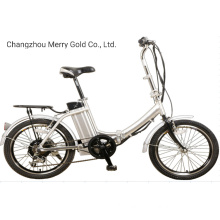 High Quality Different Kinds of 20 Inch Fat Tire Folding Ebikes